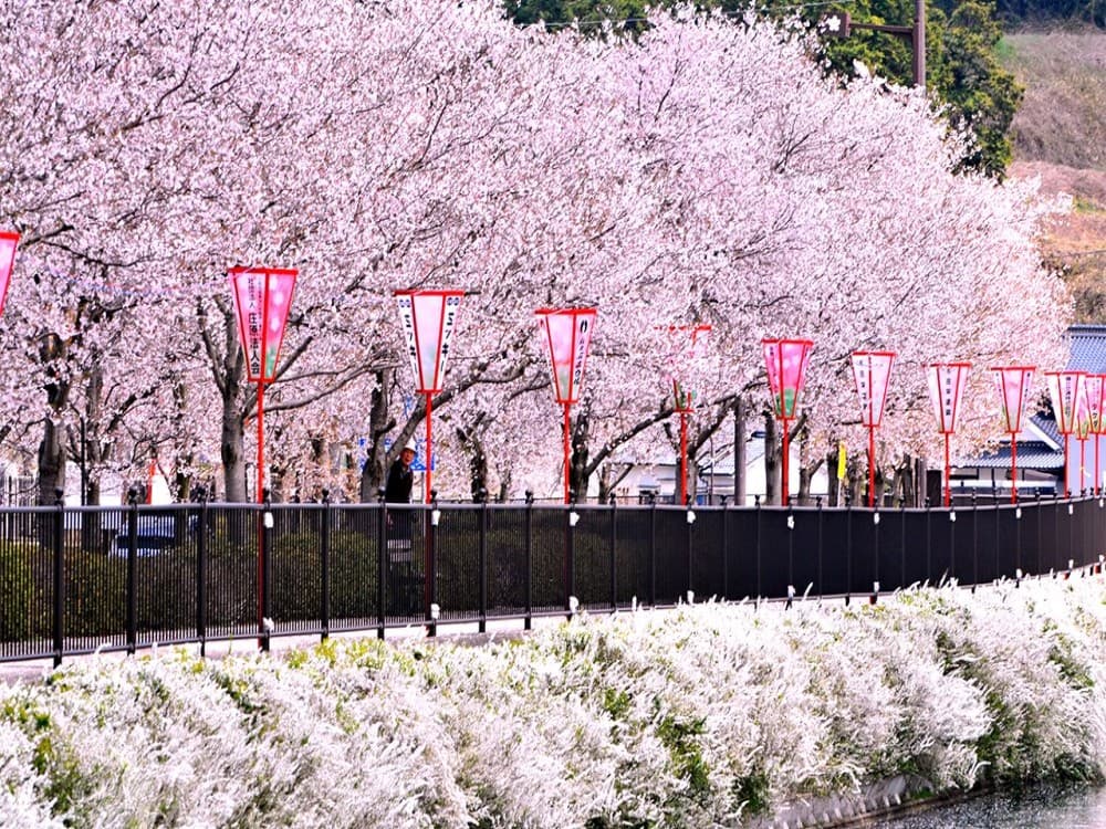 Tokyo: Ueno Park | ®ExcursionMania
