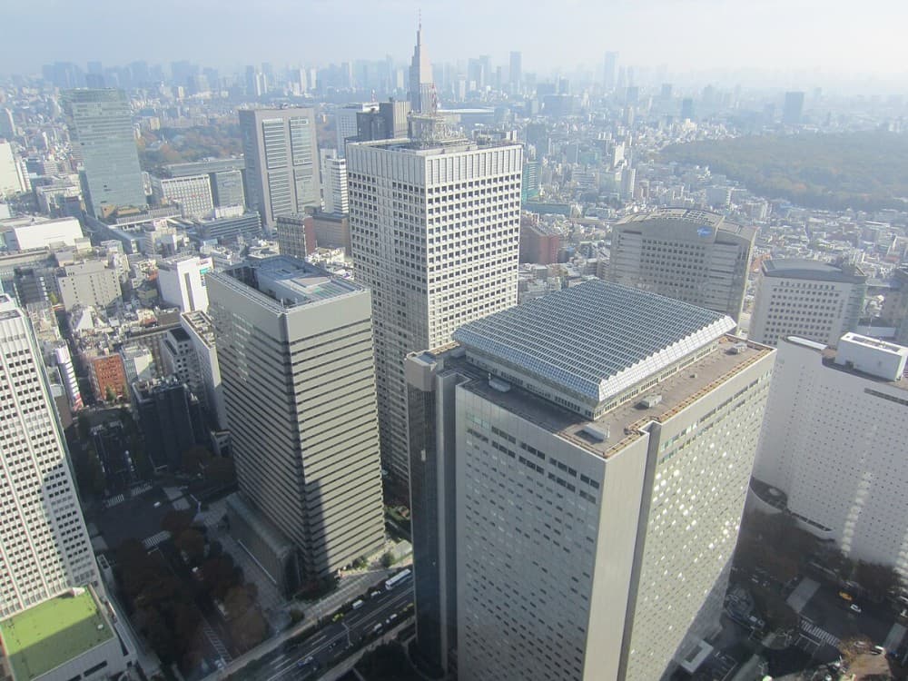 Metropolitan Government Building Observation Decks
