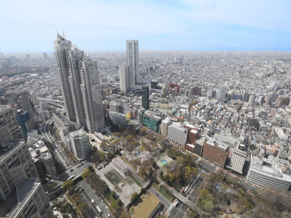 Metropolitan Government Building Observation Decks