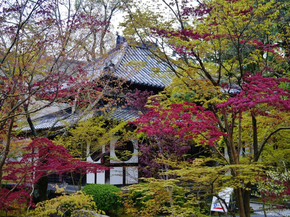 Kyoto: Eikando Zenrinji Temple | ®ExcursionMania