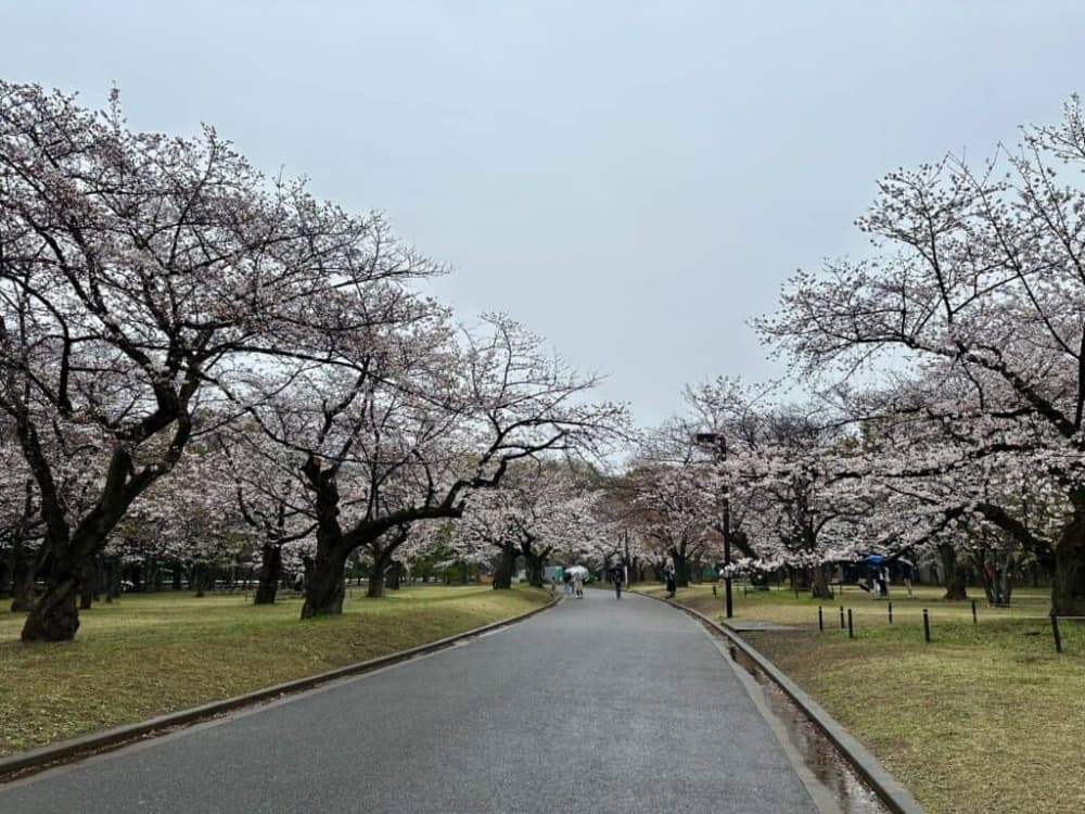 Yoyogi Park