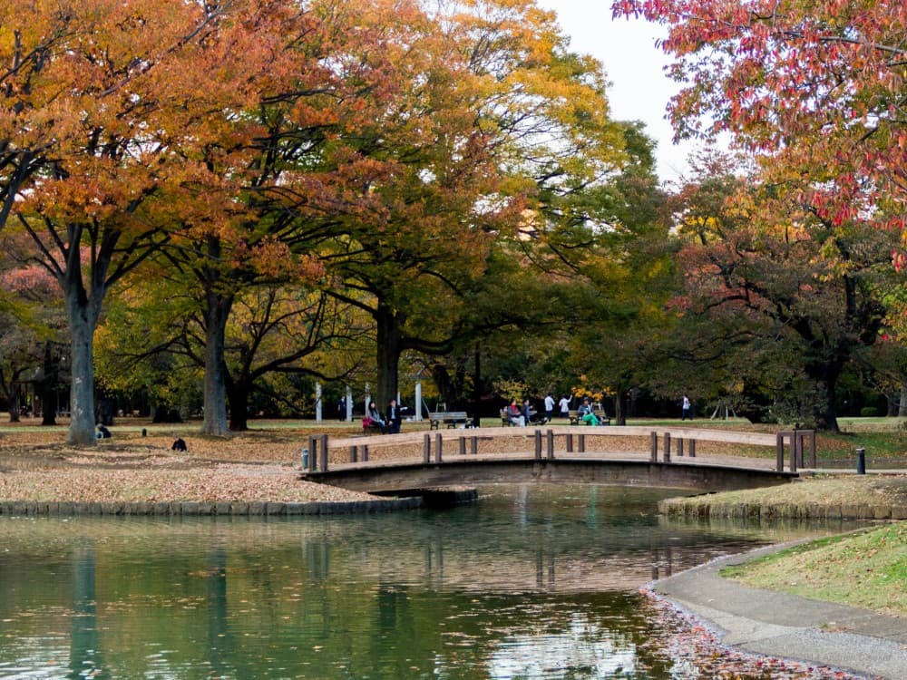 Yoyogi Park