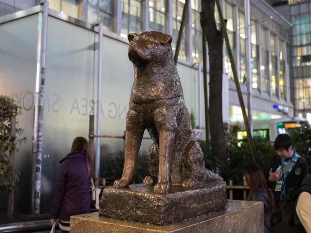 Hachiko