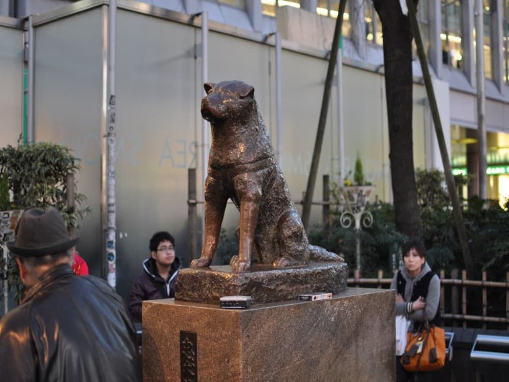Hachiko