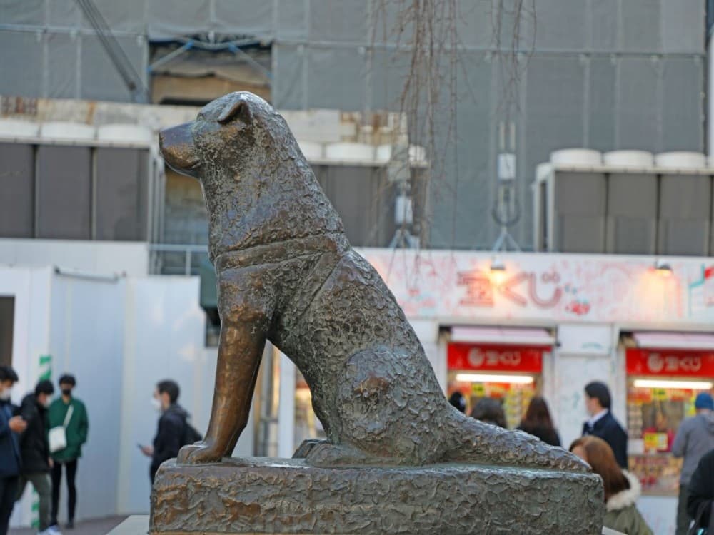 Hachiko