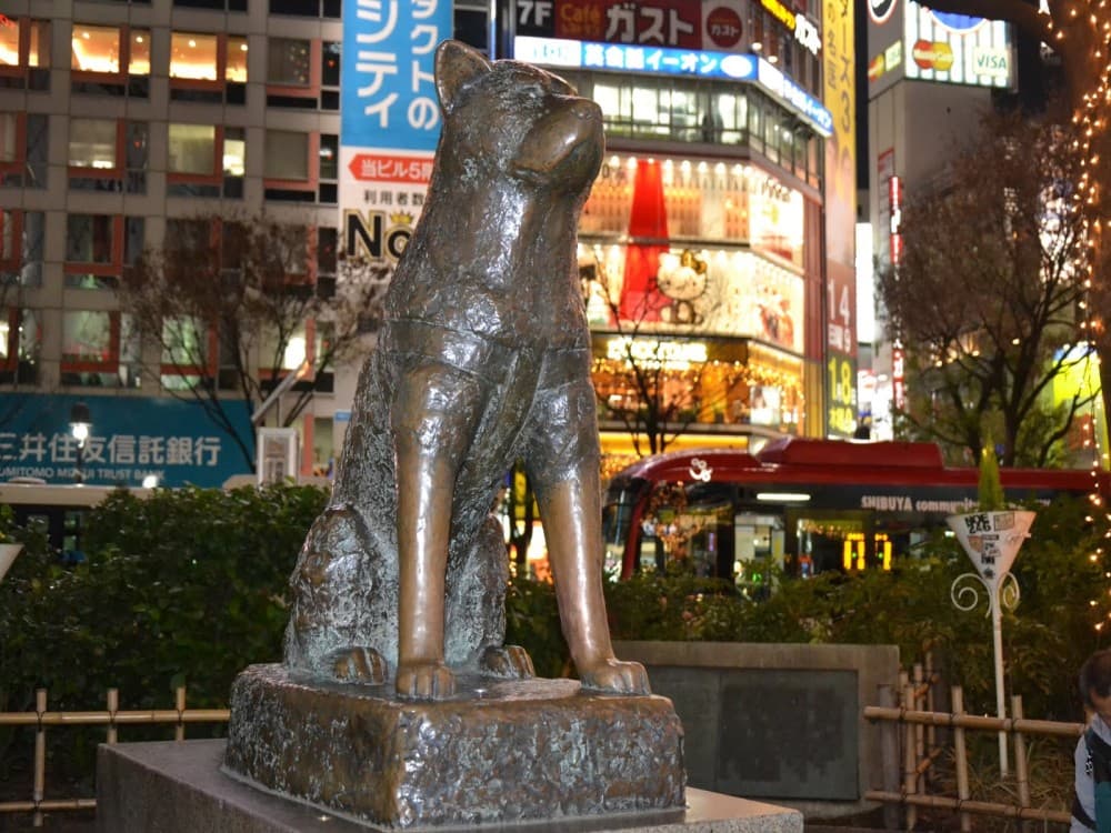 Hachiko