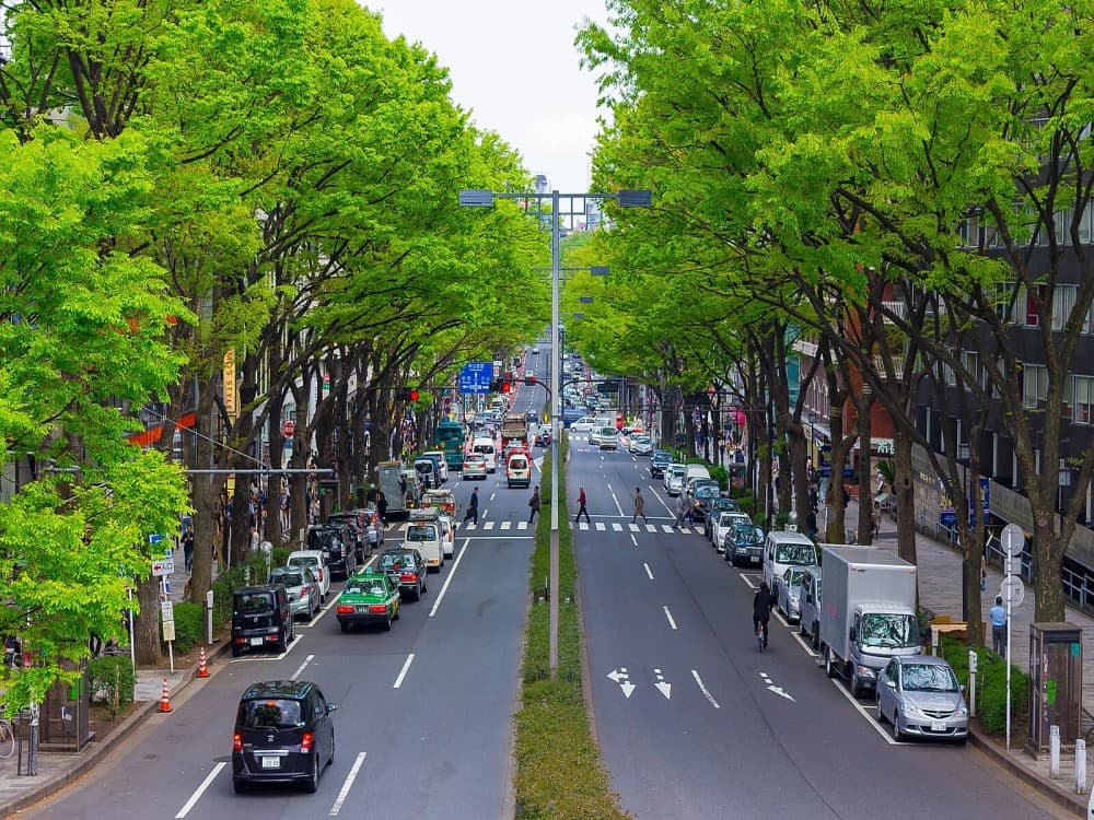 Tokyo: Omotesando | ®ExcursionMania