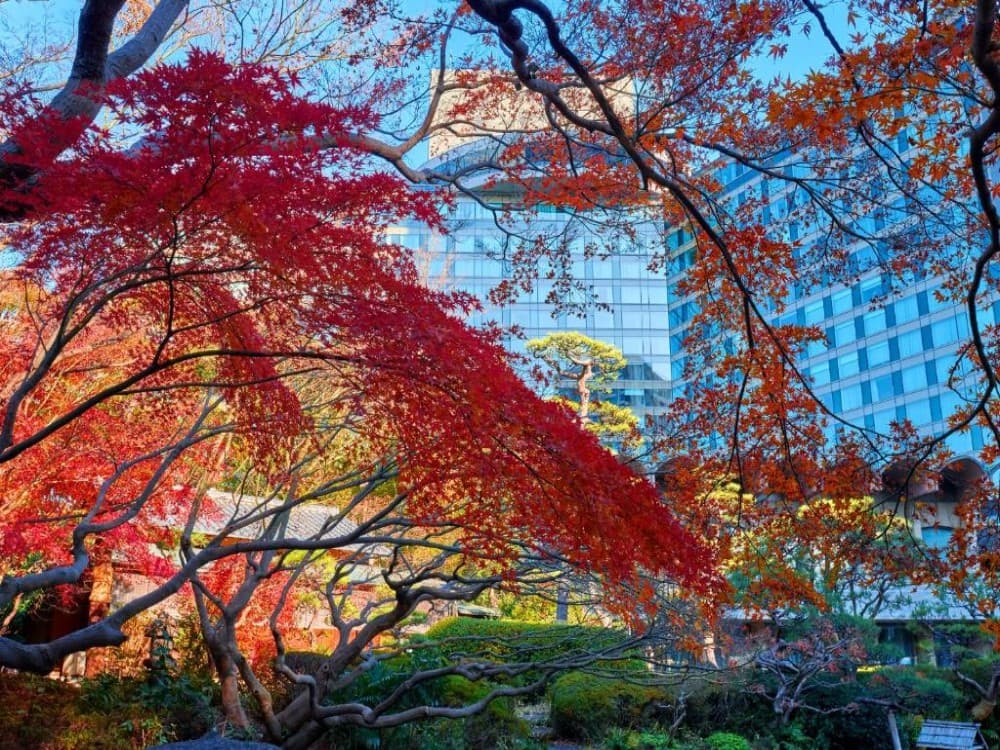 Hotel New Otani Japanese Garden