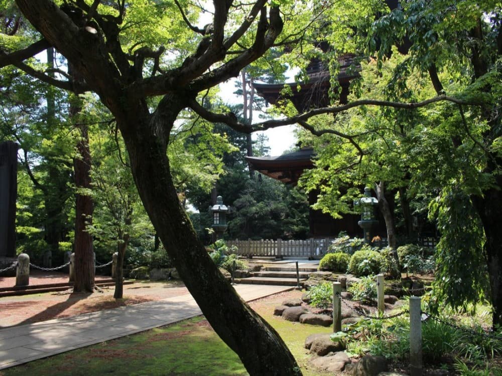 Gotokuji Temple