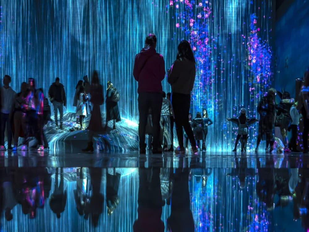 Teamlab Borderless Tokyo Azabudai Hills