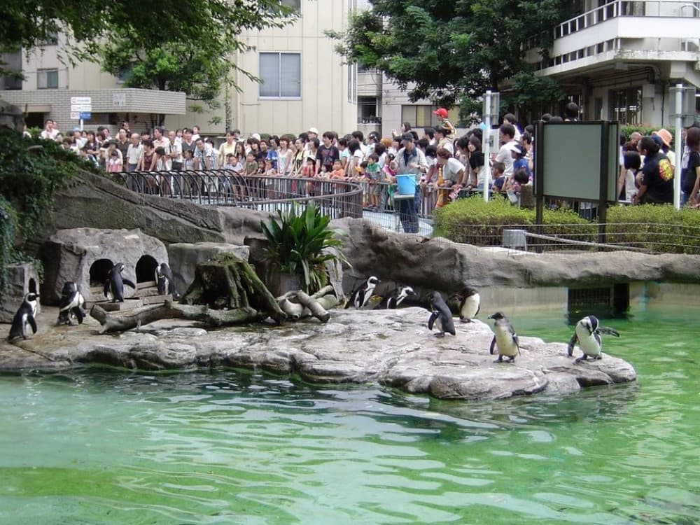 Ueno Zoo