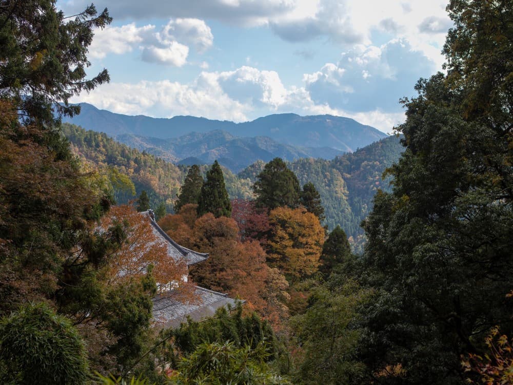Kyoto: Mount Kurama | ®ExcursionMania