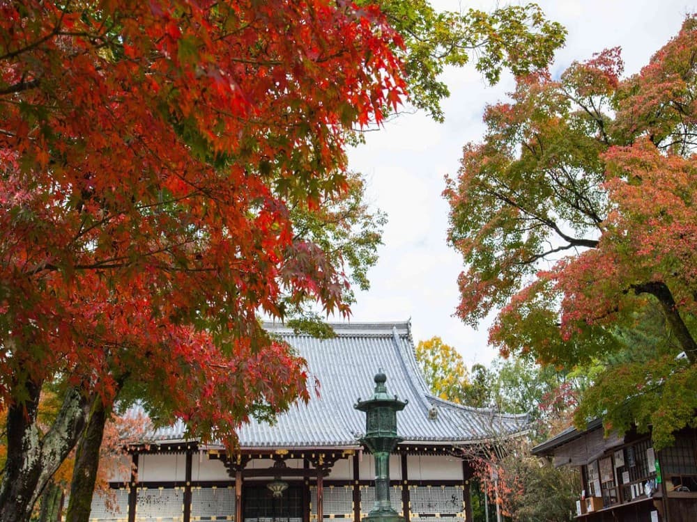Ninna-ji Temple