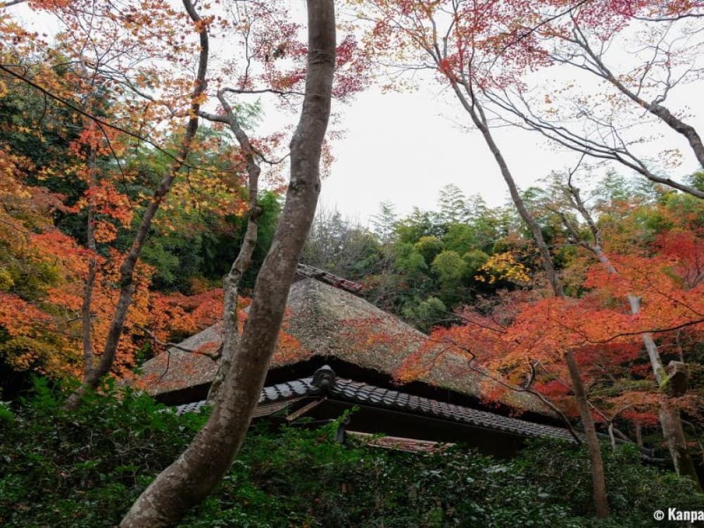 Gio-ji Temple