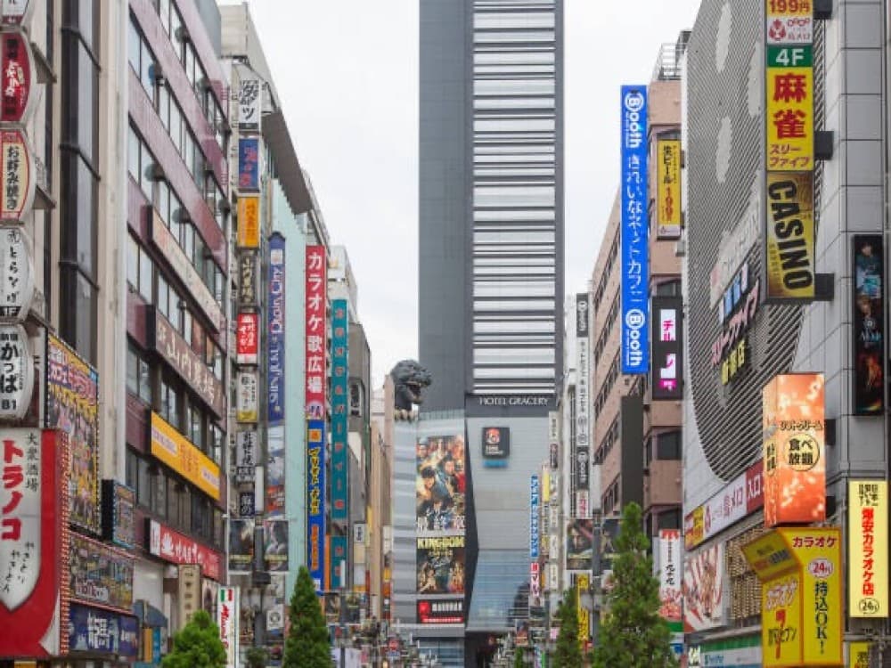 Godzilla Road & Head