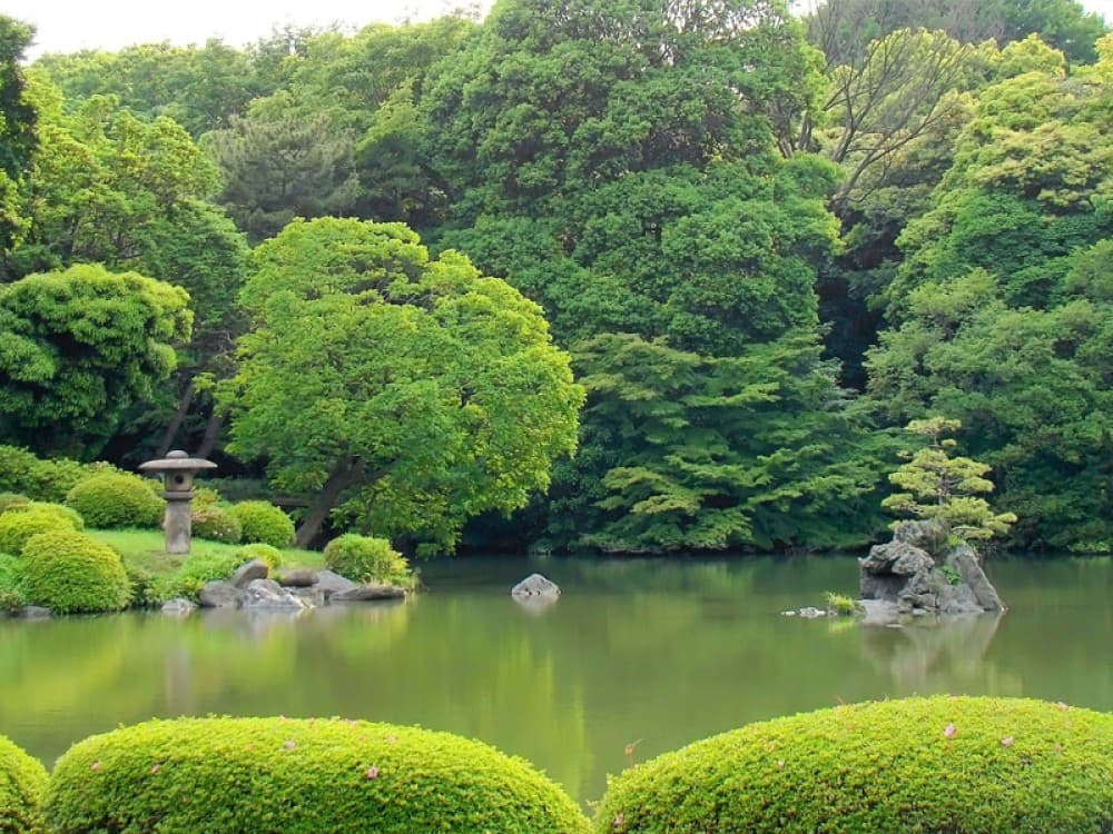 Rikugien Garden