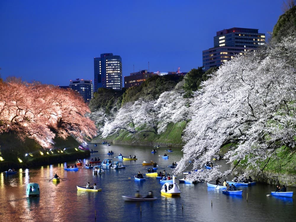 Tokyo: Chidorigafuchi | ®ExcursionMania