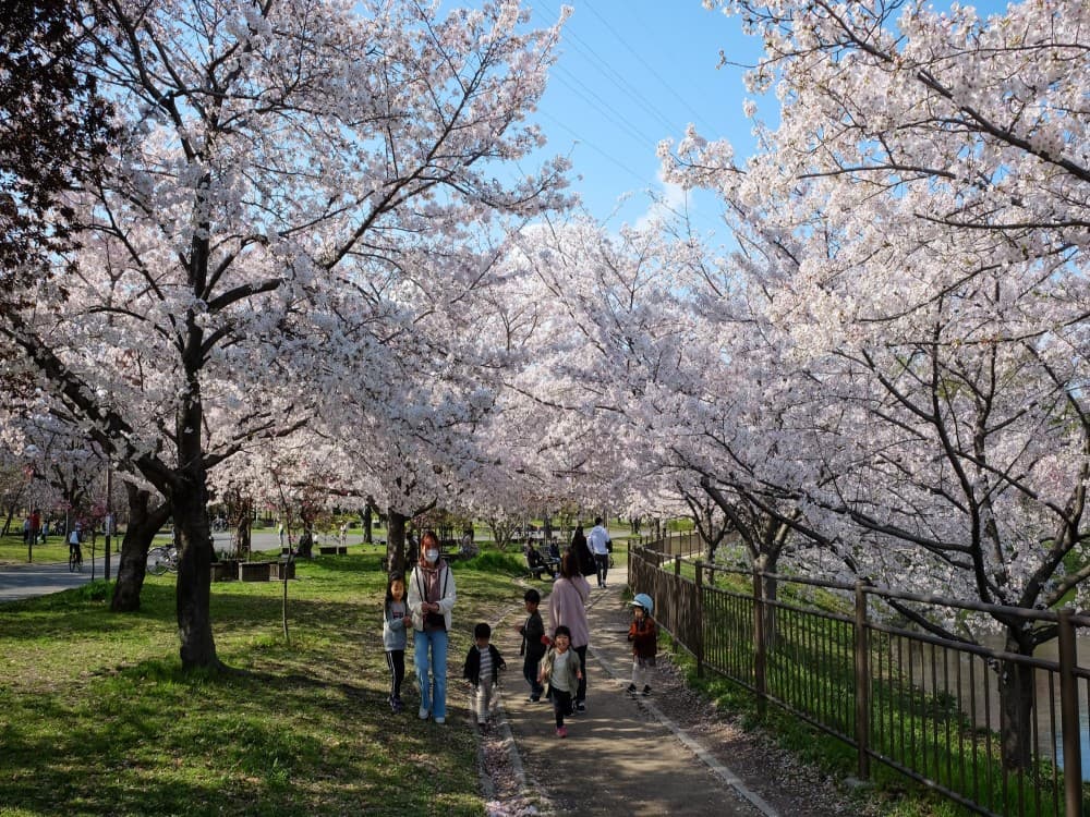 Tsurumi Ryokuchi Park