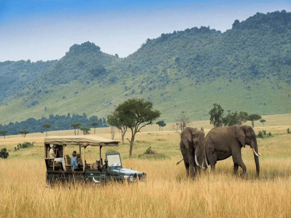 Is Masai Mara Worth Visiting?