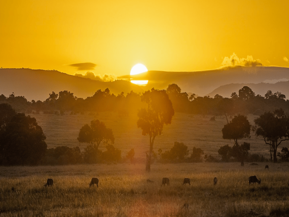 How to Dress in Masai Mara?