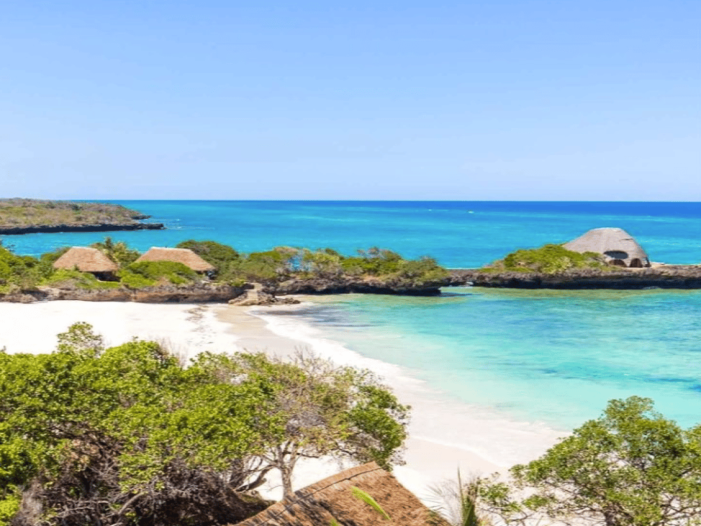 Mombasa: What Is the Best Month to Visit Mombasa? | ®ExcursionMania