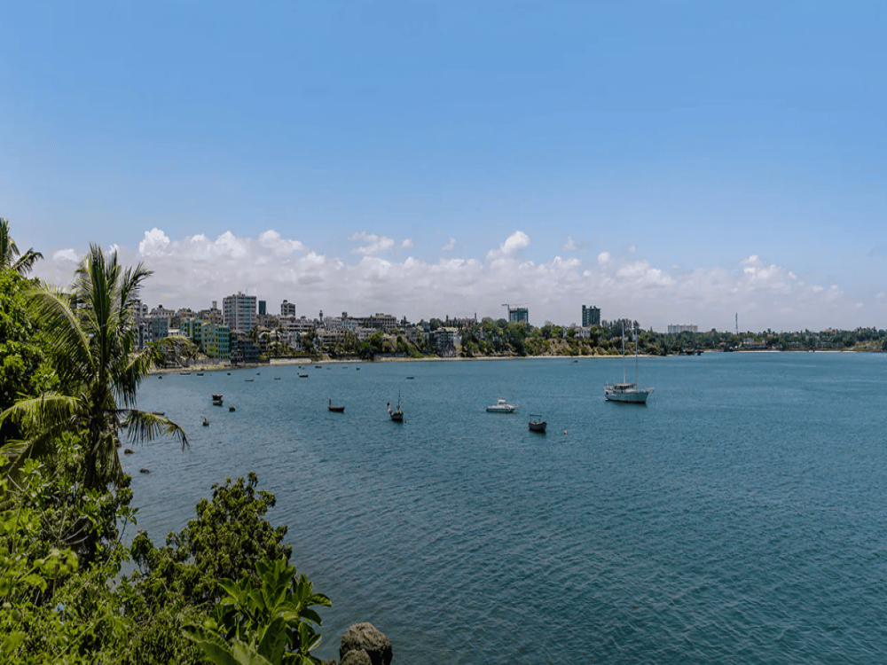 What Is the Best Month to Visit Mombasa?