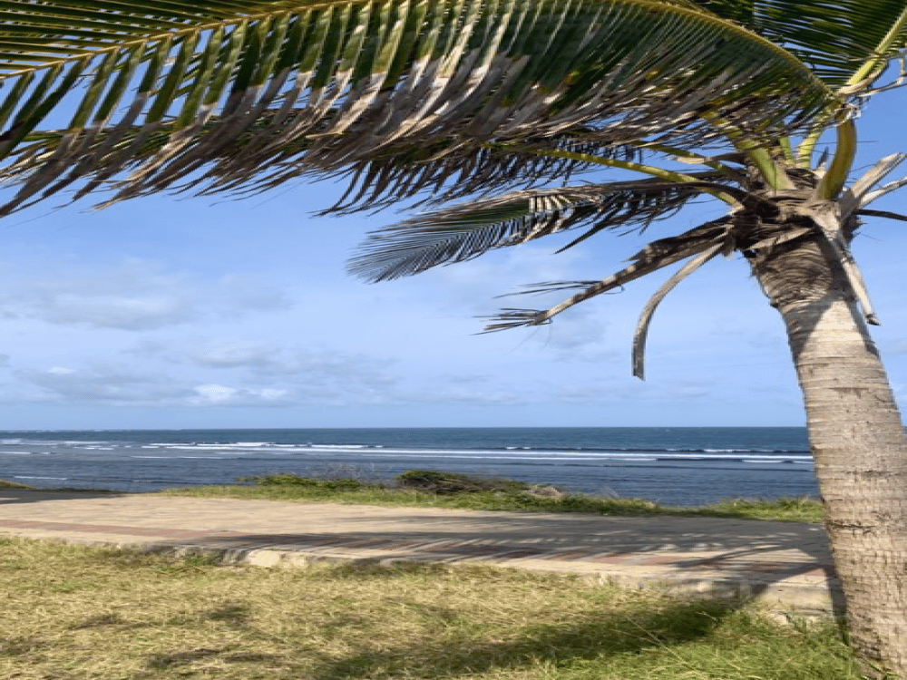 What Is the Best Month to Visit Mombasa?