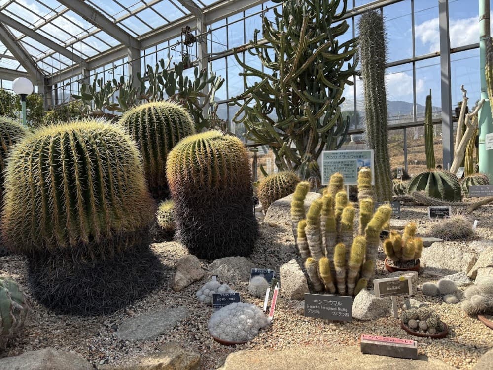 The Hiroshima Botanical Garden