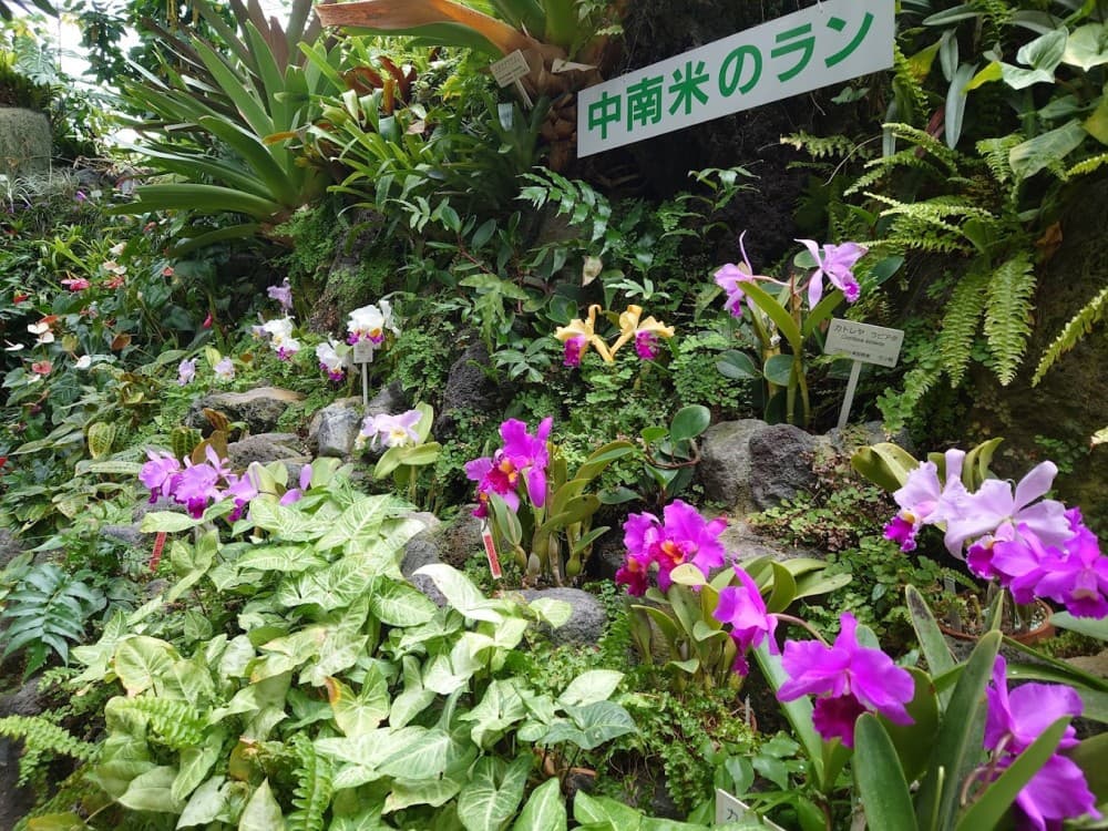 The Hiroshima Botanical Garden