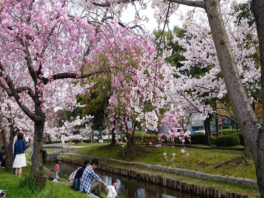 Central park (chuo koen)