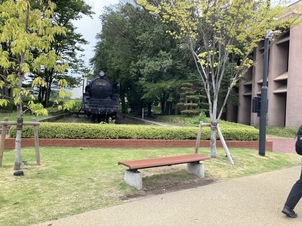 Central park (chuo koen)