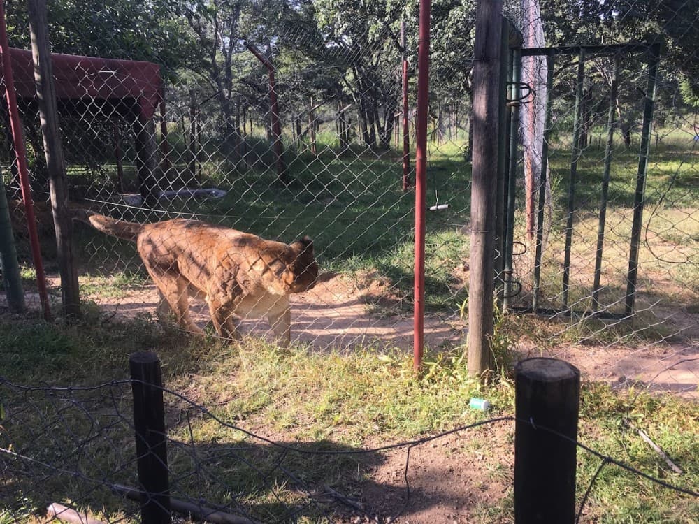 Twala Trust Animal Sanctuary