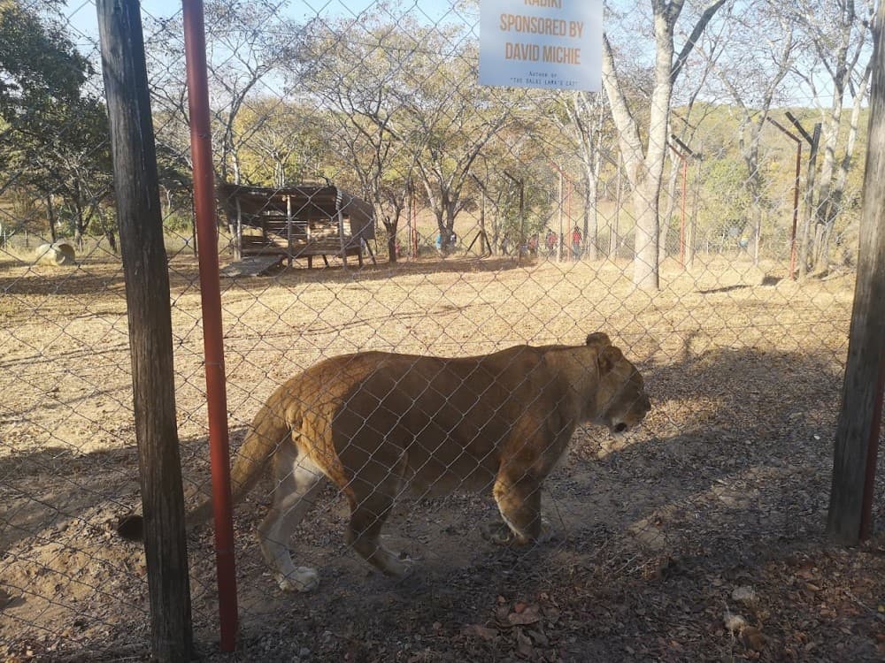 Twala Trust Animal Sanctuary
