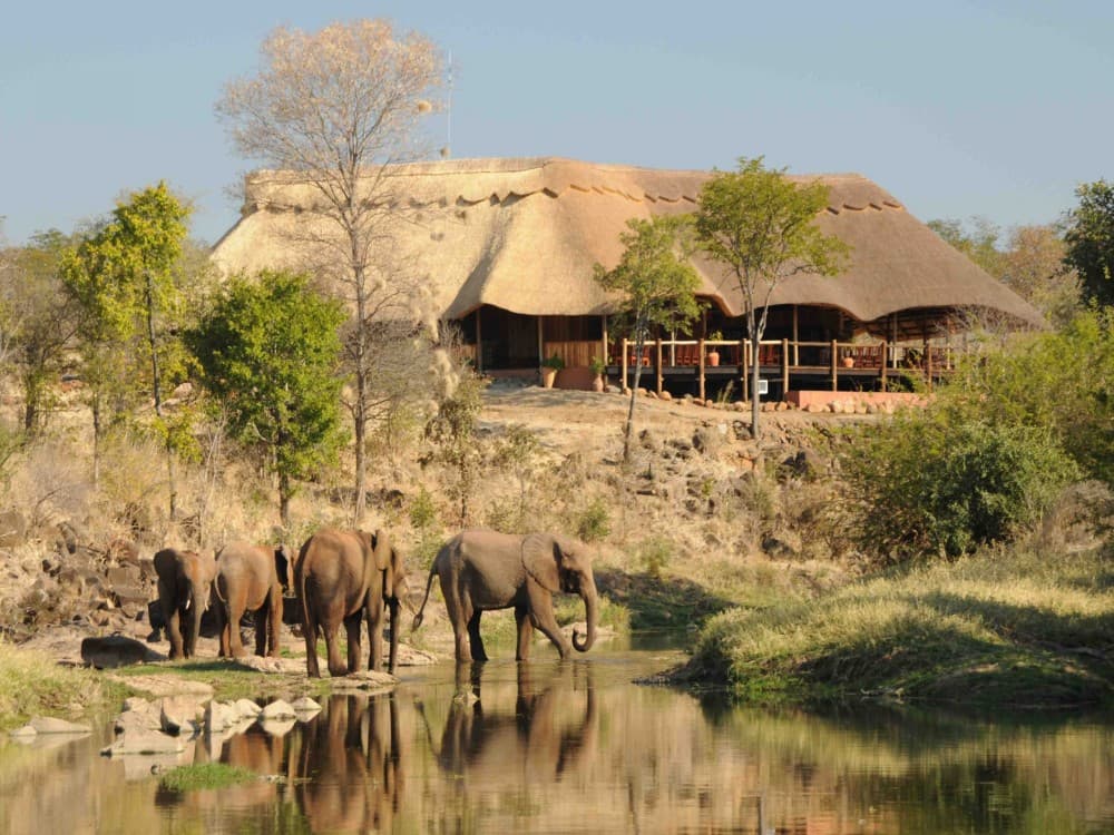Wild Horizons Elephant Sanctuary