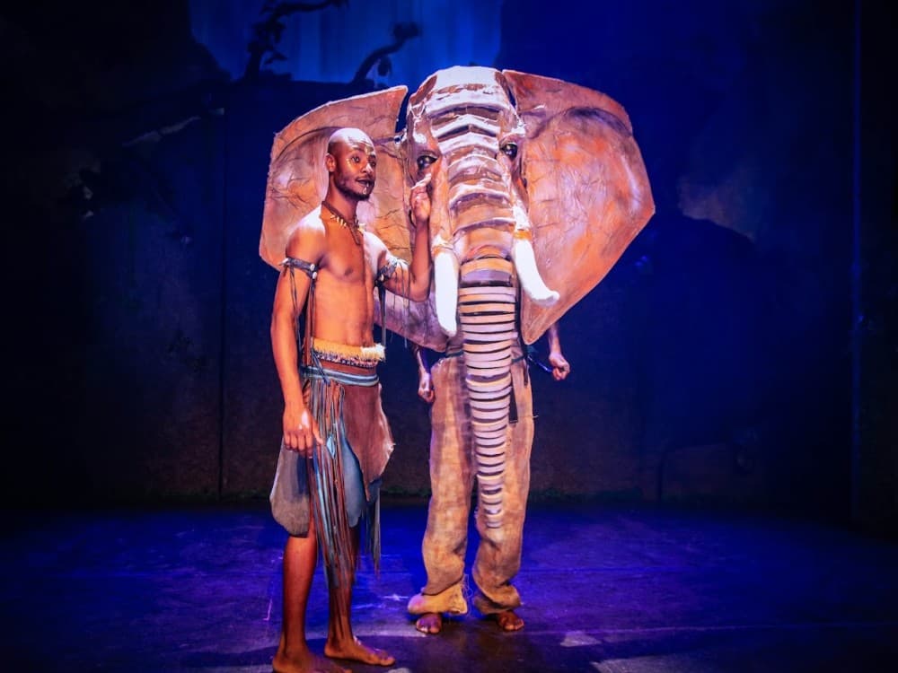 The Victoria Falls Theatre