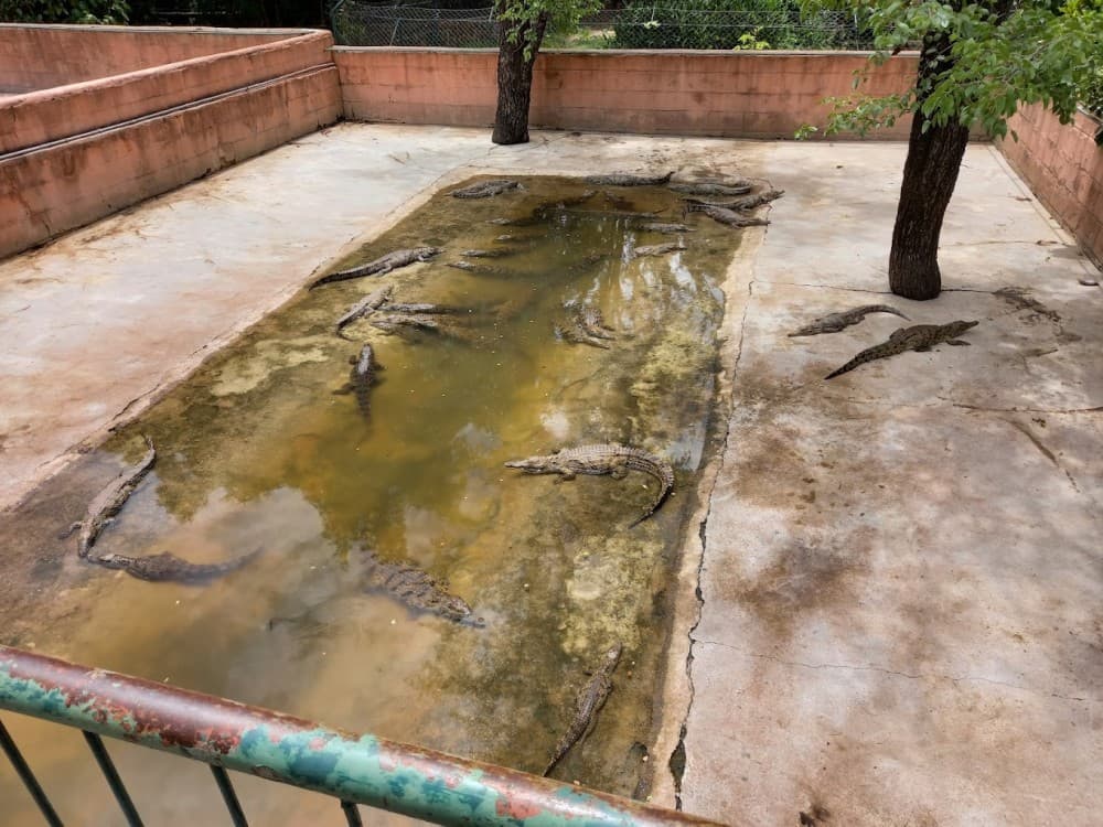 Victoria Falls Crocodile Park