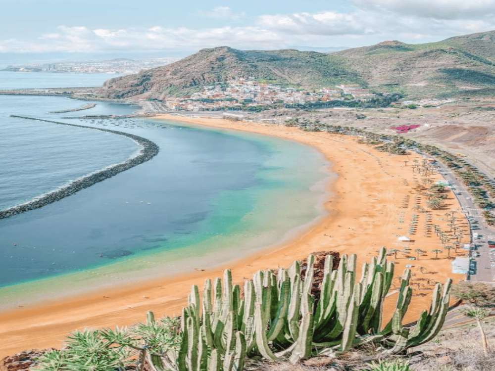 What is the Best Time to Visit Tenerife?
