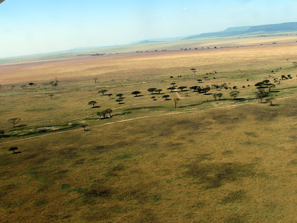 How Many Days Should I Spend in Arusha?