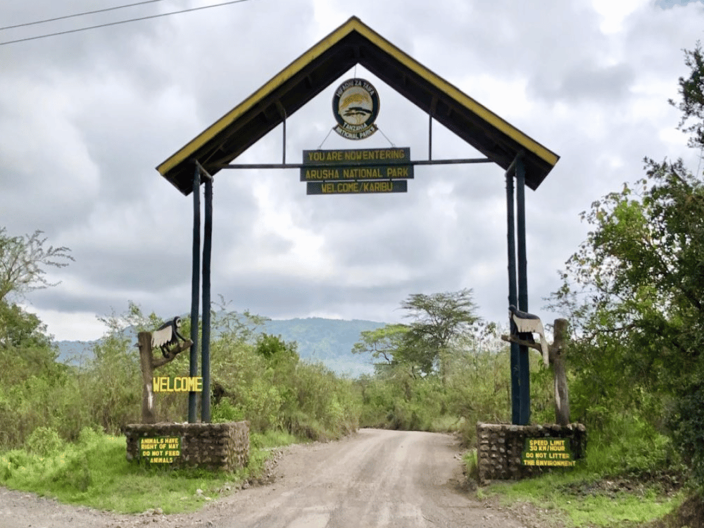 What Is the Best Time to Visit Arusha?