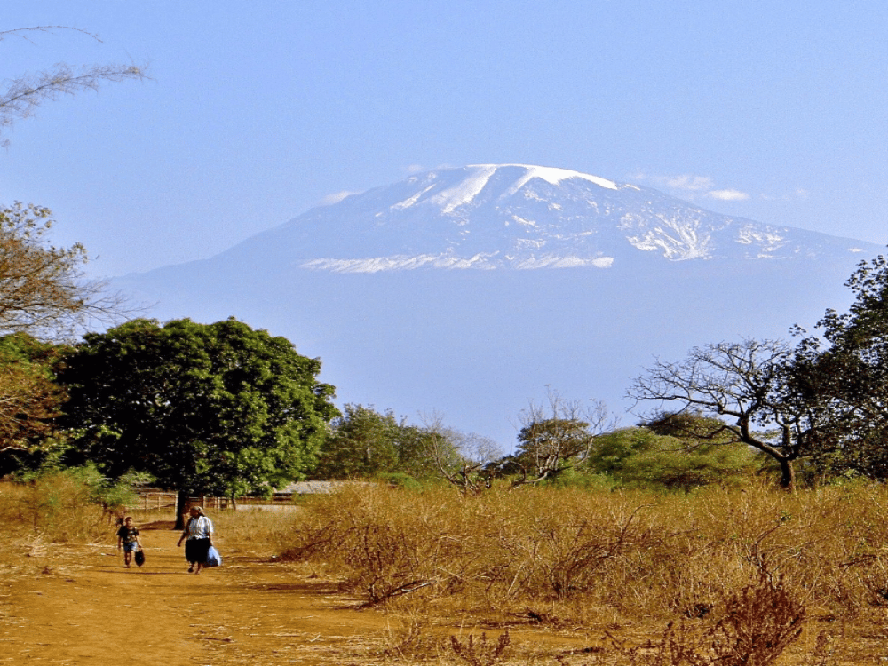 What Is the Best Time to Visit Arusha?