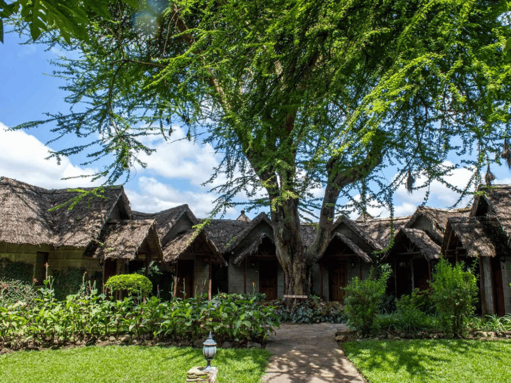 What Is the Best Time to Visit Arusha?