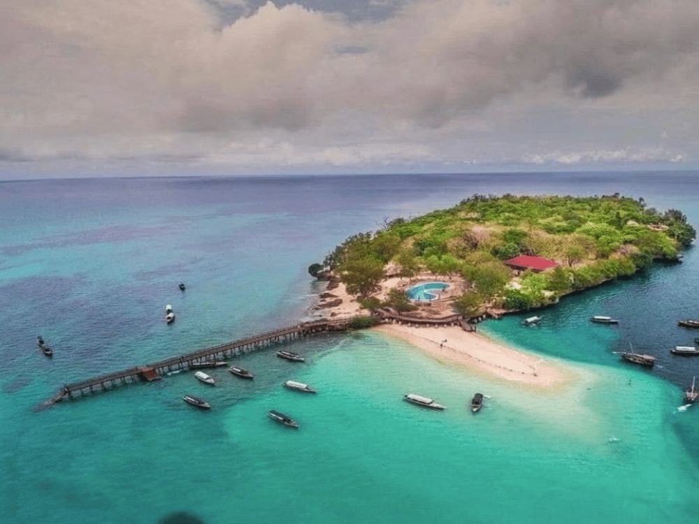 What Do You Do in Zanzibar?