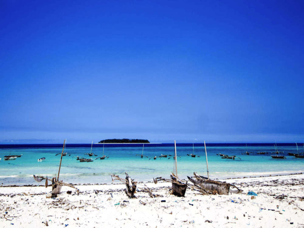 What Do You Do in Zanzibar?