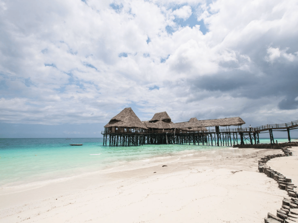 What Do You Do in Zanzibar?