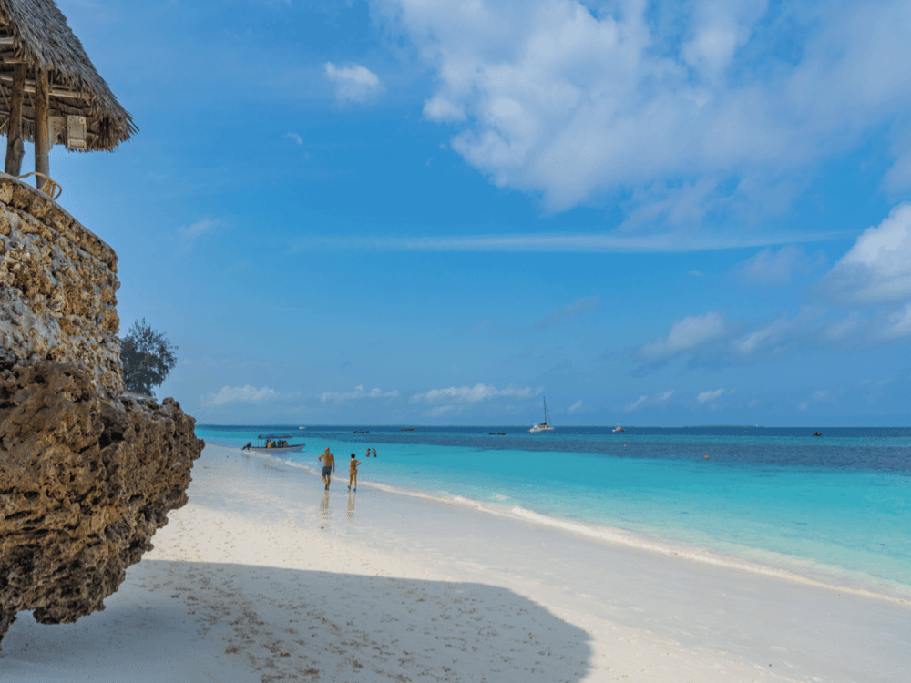 What Do You Do in Zanzibar?