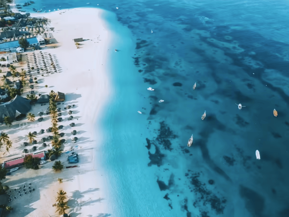 What Do You Do in Zanzibar?