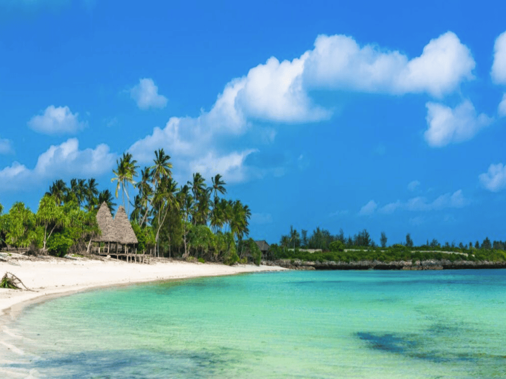 Is Zanzibar Really Worth It?