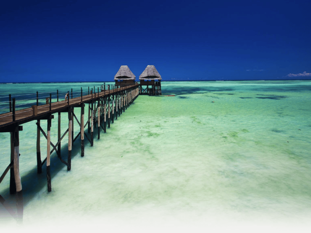 Is Zanzibar Really Worth It?