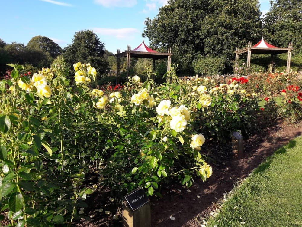 Sir Thomas and Lady Dixon Park