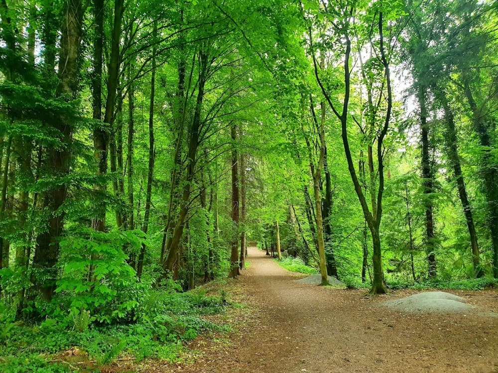 Belfast: Belvoir Park Forest | ®ExcursionMania